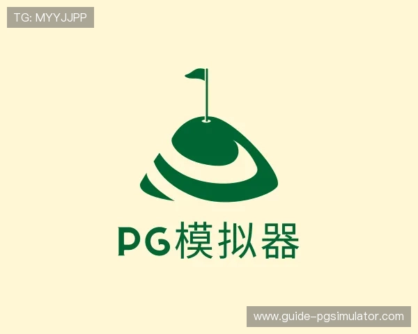 了解pg模拟器